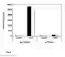 Fig. 06 - Plants with reduced activity of a starch phosphorylating enzyme