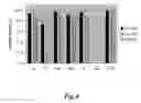 Fig. 05 - POLYNUCLEOTIDES ENCODING PHYTASE POLYPEPTIDES