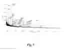 Fig. 08 - POLYNUCLEOTIDES ENCODING PHYTASE POLYPEPTIDES