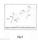 Fig. 10 - POLYNUCLEOTIDES ENCODING PHYTASE POLYPEPTIDES