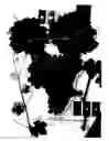 Fig. 02 - Grapevine plant named 'Sugrathirtytwo'