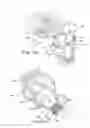 Fig. 07 - Bagless dustcup
