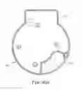 Fig. 11 - Bagless dustcup