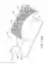 Fig. 26 - Bagless dustcup