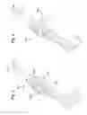 Fig. 05 - Stair cleaning vacuum cleaner