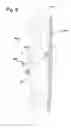 Fig. 08 - Stair cleaning vacuum cleaner