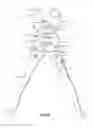 Fig. 09 - POWER SCISSORS WITH EXTRA LARGE MOUTH