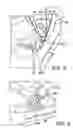 Fig. 07 - Snowshoe binding without heel strap