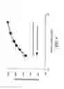 Fig. 07 - Cellulosic/polyamide composite