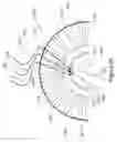 Fig. 30 - Rake wheel