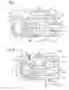 Fig. 03 - Combustor for a gas turbine