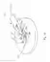 Fig. 11 - Method and apparatus for measuring electrical properties in torsional resonance mode
