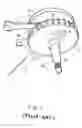 Fig. 02 - System and method for sensing position of a motorcycle crankshaft