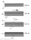 Fig. 02 - High-throughput printing of nanostructured semiconductor precursor layer