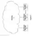 Fig. 02 - SYSTEM AND METHOD FOR NETWORK COMMUNICATION OF MUSIC DATA
