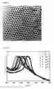 Fig. 03 - Colloidal photonic crystals using colloidal nanoparticles and method for preparation thereof