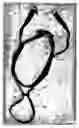 Fig. 03 - Restraint device for animals