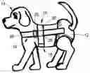 Fig. 01 - Harness for a pet diaper