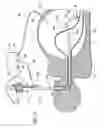 Fig. 06 - Method for accessing abdominal cavity and medical procedure via natural orifice