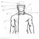 Fig. 01 - Method and apparatus for personal isolation and/or protection