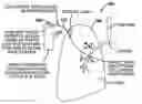 Fig. 01 - Variable resistance pulmonary ventilation bypass valve and method