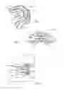 Fig. 02 - Tongue retention device and method of use