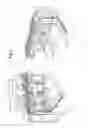 Fig. 04 - Multi-pass inverting bottle cleaner