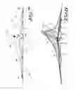 Fig. 07 - Shade, more particularly an umbrella and/or sunshade