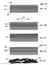 Fig. 09 - High-throughput printing of semiconductor precursor layer from microflake particles