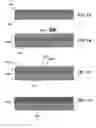 Fig. 02 - High-throughput printing of semiconductor precursor layer from inter-metallic nanoflake particles