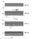Fig. 02 - High-throughput printing of semiconductor precursor layer from inter-metallic microflake articles