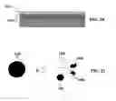Fig. 17 - High-throughput printing of semiconductor precursor layer from inter-metallic microflake articles