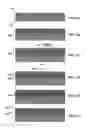 Fig. 02 - High-throughput printing of chalcogen layer and the use of an inter-metallic material