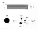 Fig. 07 - High-throughput printing of chalcogen layer and the use of an inter-metallic material