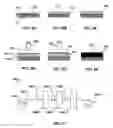 Fig. 09 - High-throughput printing of semiconductor precursor layer by use of chalcogen-containing vapor and inter-metallic material