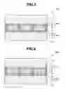 Fig. 04 - Dye-sensitized solar cell