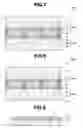 Fig. 05 - Dye-sensitized solar cell