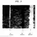 Fig. 04 - Integrated thin-film solar cell and process for producing the same