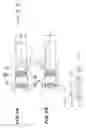 Fig. 04 - Ejector and fuel cell system therewith