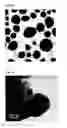 Fig. 03 - Gold or silver particles with paramagnetism, and composition containing thereof