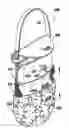 Fig. 01 - Interchangeable handbag carry system