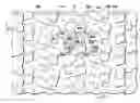 Fig. 01 - Pneumatic tire with tread having rib shaped land section, lug grooves and sipes