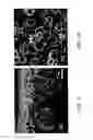 Fig. 06 - Nanoengineered thermal materials based on carbon nanotube array composites