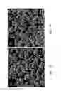 Fig. 08 - Nanoengineered thermal materials based on carbon nanotube array composites