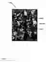 Fig. 44 - Expandable tubular