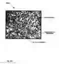 Fig. 46 - Expandable tubular
