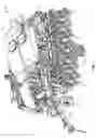 Fig. 02 - Front folding agricultural implement frame with rearwardly telescoping tongue