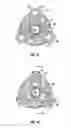 Fig. 13 - Drilling and hole enlargement device