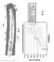 Fig. 06 - Flexible directional drilling apparatus and method