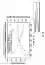 Fig. 09 - Flexible directional drilling apparatus and method